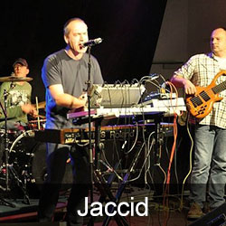 Jaccid