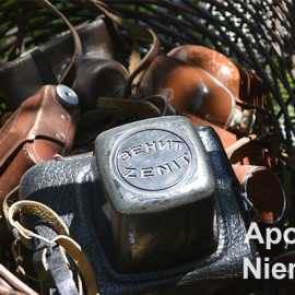 Vorstellung der Künstlerin Apolonia Niemczyk