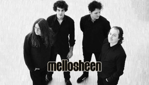 03-Mellosheen-Kunstrasen-Open-Air-2015