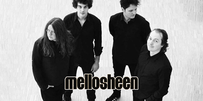 Musikvorstellung: Mellosheen