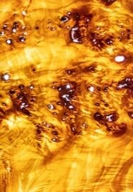 16.11.2025 bis 28.12.2025 – Ausstellung im Hotel Prinz Carl – Martin Geier 16.11.2025 bis 28.12.2025 – Ausstellung im Hotel Prinz Carl – Martin Geier