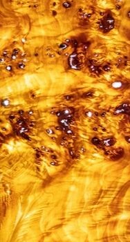 16.11.2025 bis 28.12.2025 – Ausstellung im Hotel Prinz Carl – Martin Geier 16.11.2025 bis 28.12.2025 – Ausstellung im Hotel Prinz Carl – Martin Geier