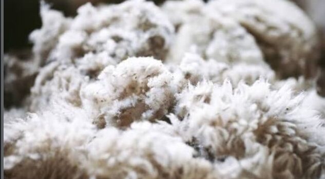 16.11.2025 bis 28.12.2025 / Hotel Prinz Carl / Sabine Zapf-Frey